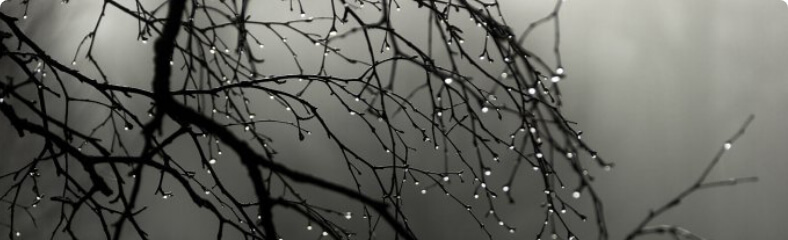 النشرات الجوية الكتابية