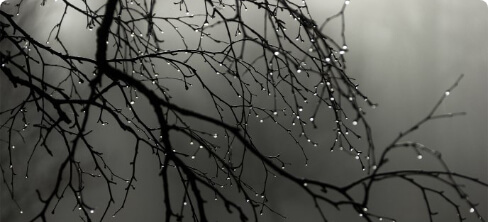 النشرات الجوية الكتابية