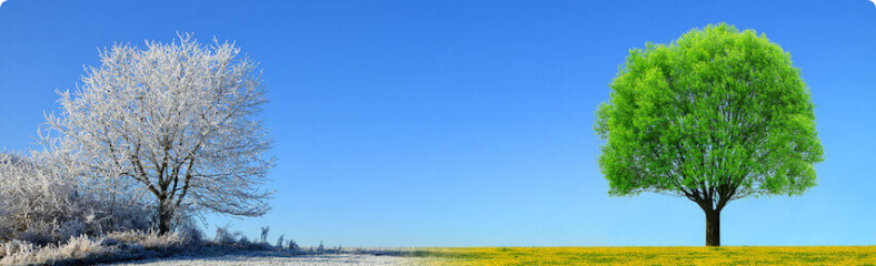 النشرات الجوية الكتابية