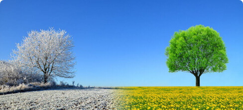 النشرات الجوية الكتابية